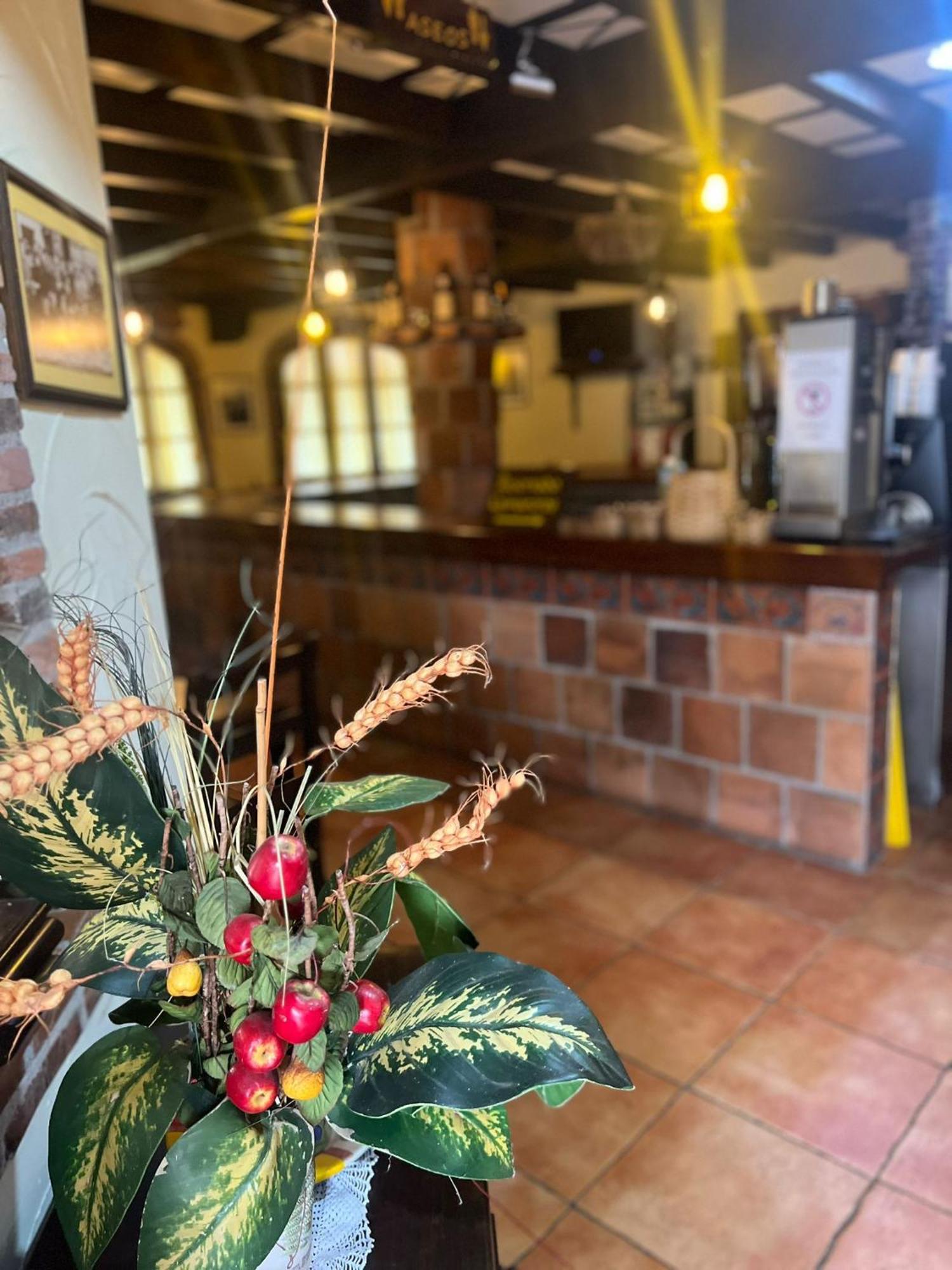 Hotel El Bricial Soto De Cangas Ngoại thất bức ảnh