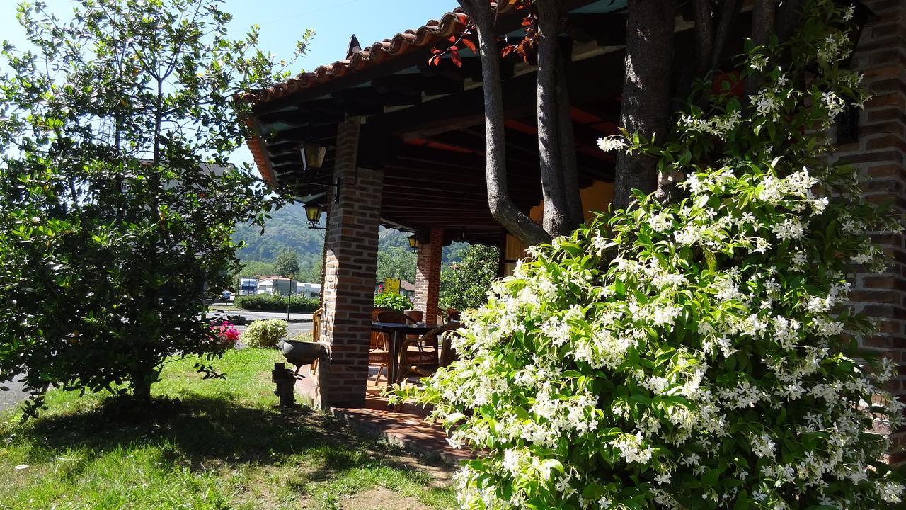 Hotel El Bricial Soto De Cangas Ngoại thất bức ảnh